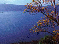 Spanish lessons Nicaragua